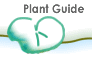 Plant Guide