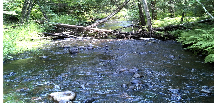 The North Shore's French River