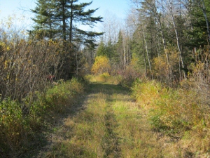 Image of the Kory Kelly Hunter Walking Trail taken October 2010