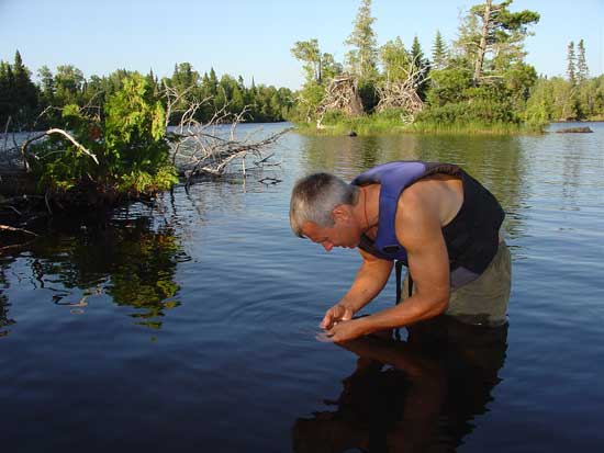 MBS botanist/plant ecologist, Michael Lee, looking for rare aquatic plant species in Brule Lake.