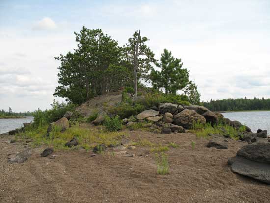 FDn12b community on island in Gabro Lake