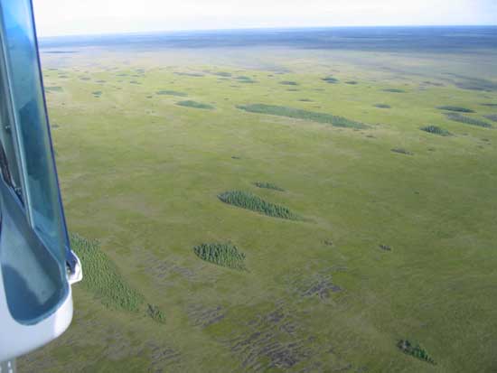 Overhead view of Beltrami COunty's Red Lake Peatland with scattered islands.