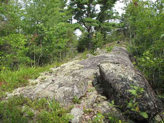 Bedrock outcrop