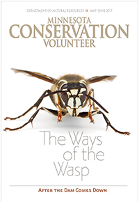 Image of Minnesota Conservation Volunteer magazine cover