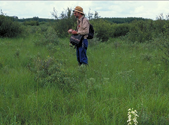 image of Robert Dana