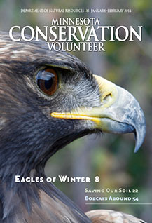 Mcv Magazine January February 2014 Minnesota Dnr