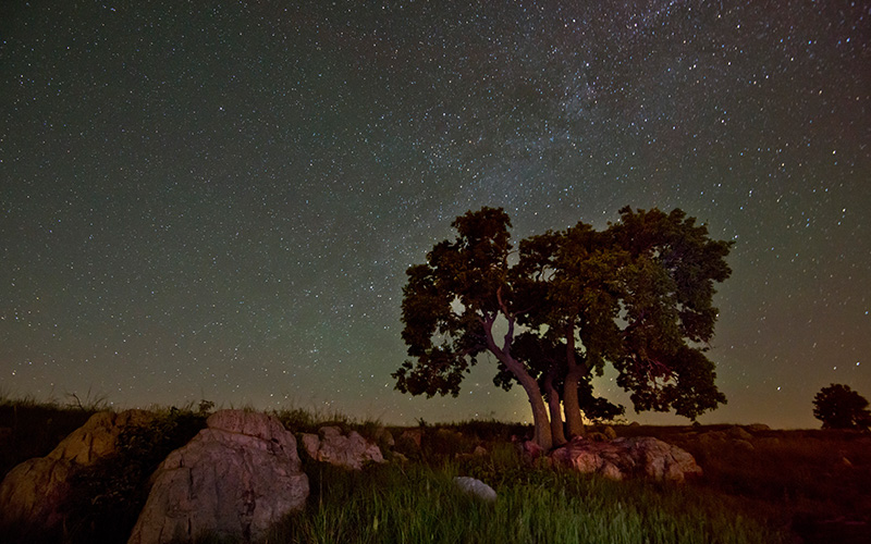 The Necessity of Darkness | November–December 2014 | Minnesota