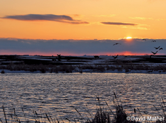 image of Lac qui Parle lake at sunset