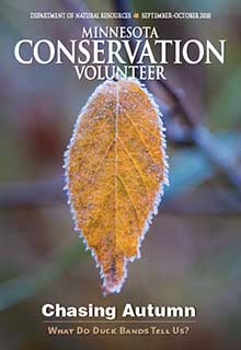 January February 2019 Minnesota Conservation Volunteer Minnesota Dnr