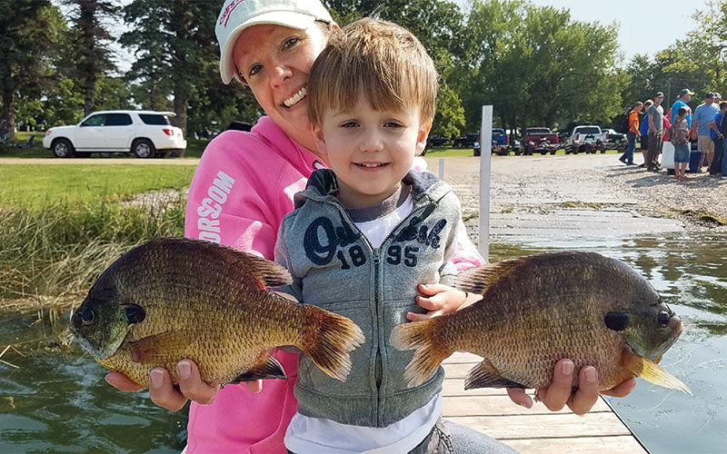 The Sunfish Myth, May–June 2019, Minnesota Conservation Volunteer