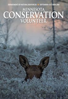 Feature: Reel Education, September–October 2021, Minnesota Conservation  Volunteer